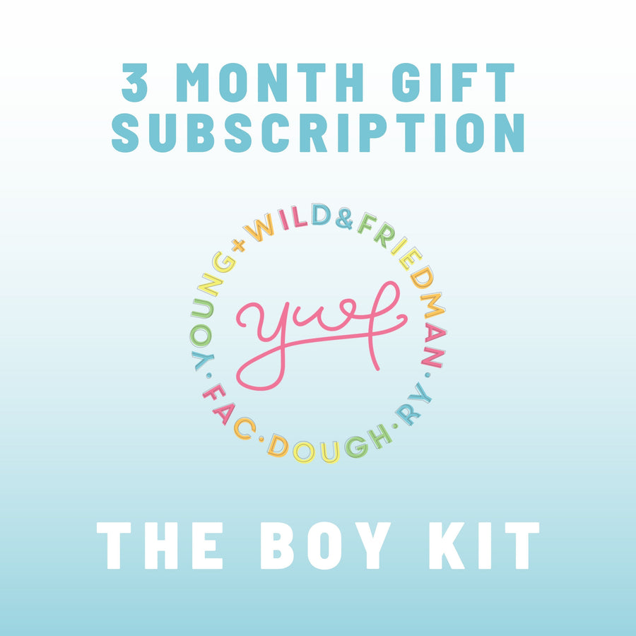 3 Month Gift Subscription - Boy Theme Subscription Young, Wild & Friedman 