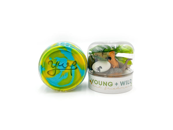 Dinosaur Grab & Go Dough Jar Grab and Go Dough Young + Wild and Friedman 