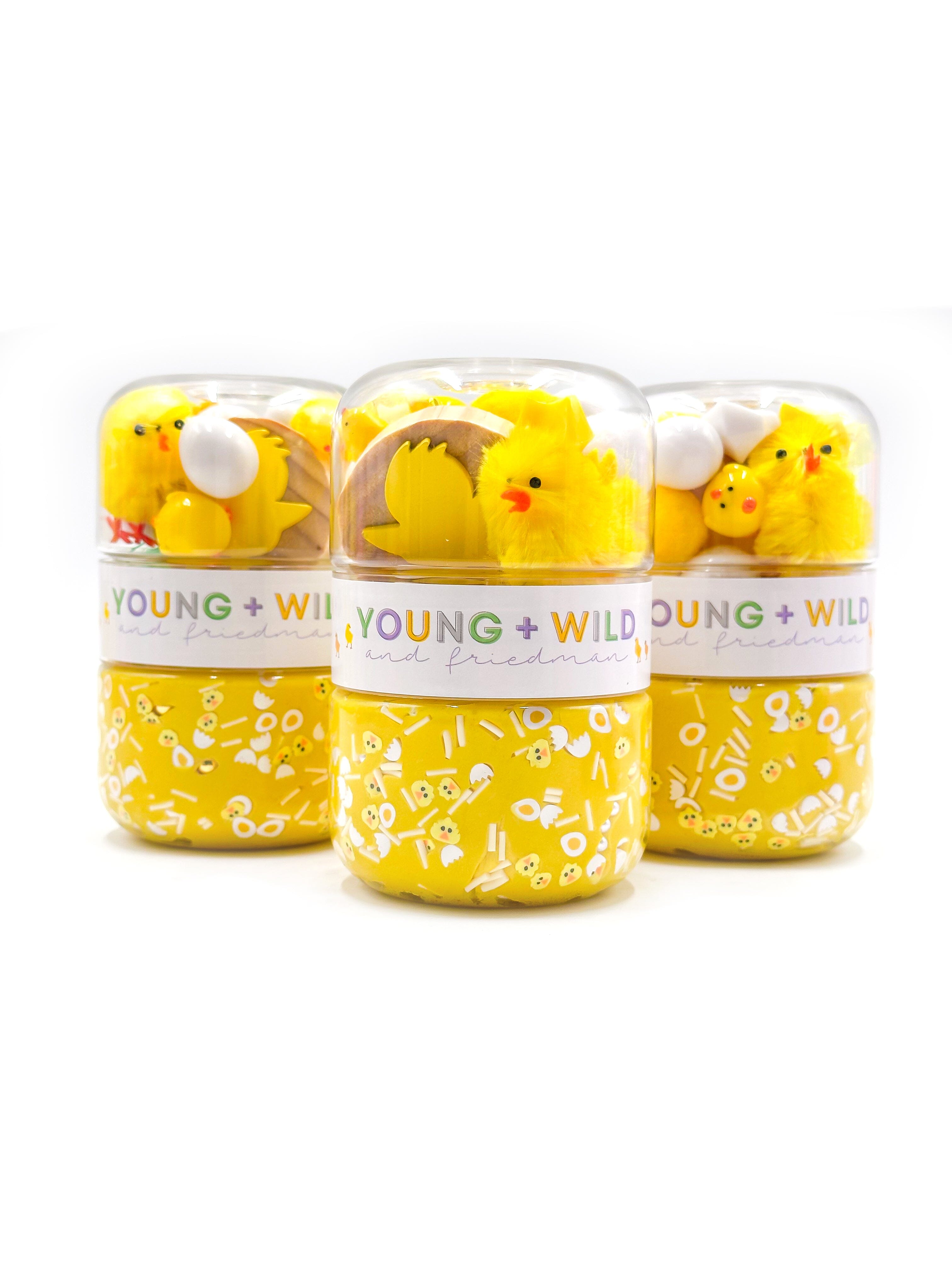 Fuzzy Chick Grab & Go Dough Jar Grab and Go Dough Young, Wild & Friedman 