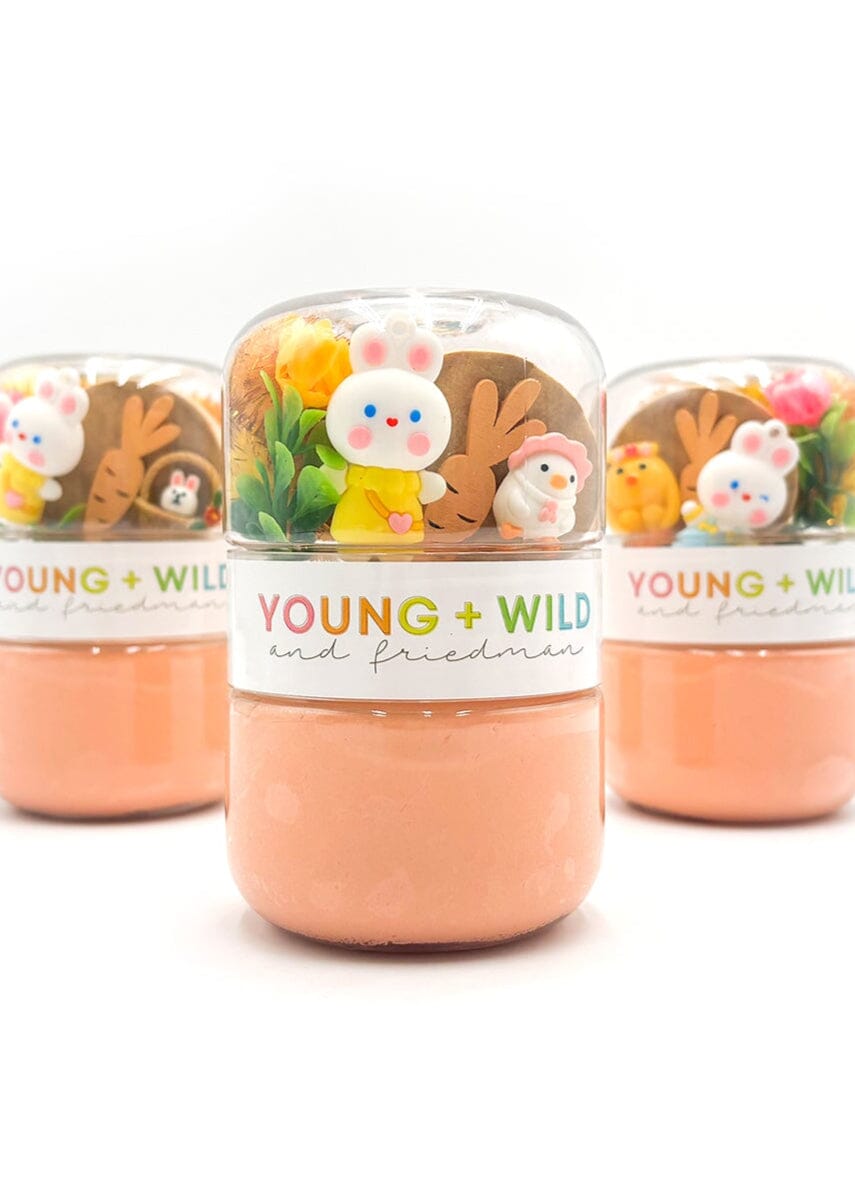 Hoppy Spring Grab & Go Dough Jar Grab and Go Dough Young, Wild & Friedman 