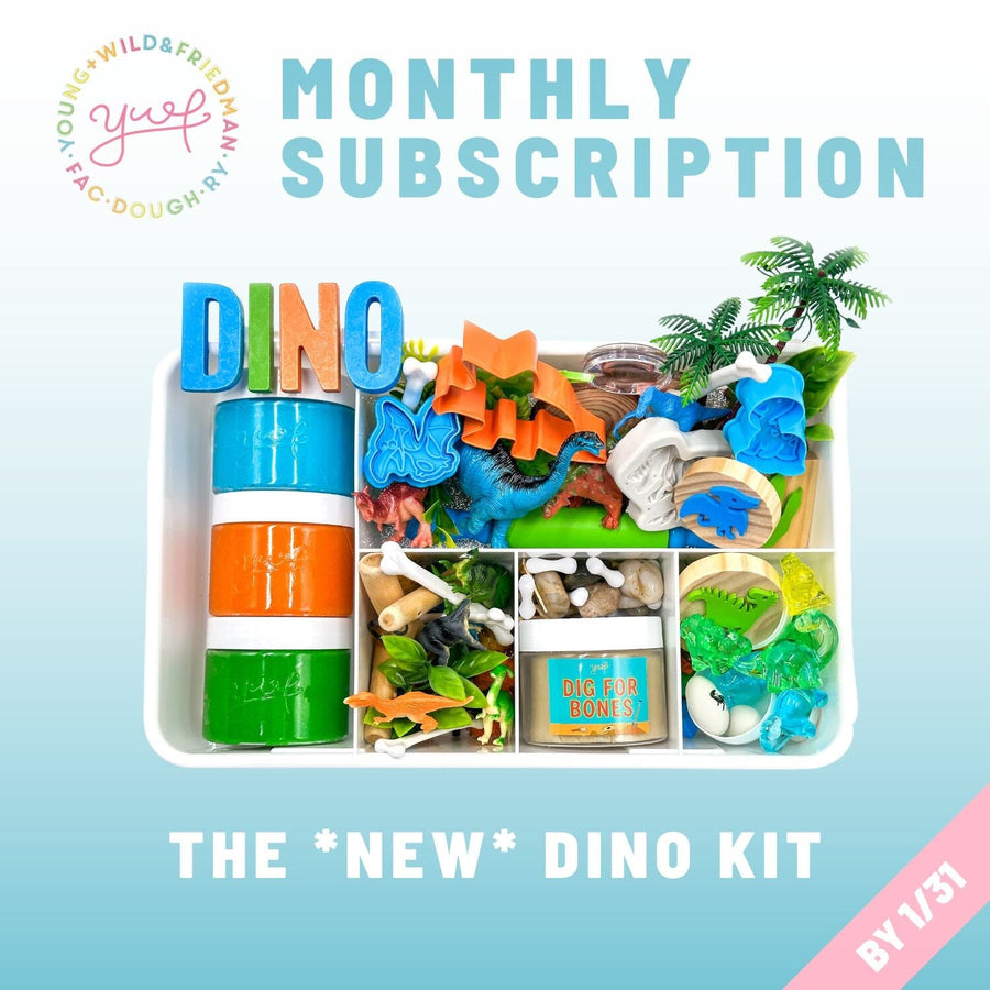 Monthly Subscription - Boy Theme Subscription Young, Wild & Friedman 