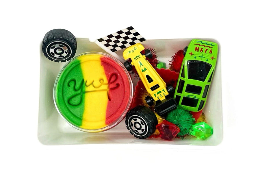 Race Car Mini Kit Mini Kit Young, Wild & Friedman 