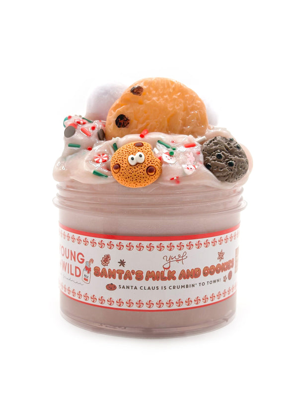 Santa's Milk and Cookies Sensory Slime Slime Young, Wild & Friedman 