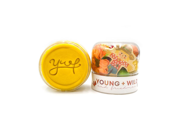 Scarecrow Grab & Go Dough Jar Grab and Go Dough Young + Wild and Friedman 