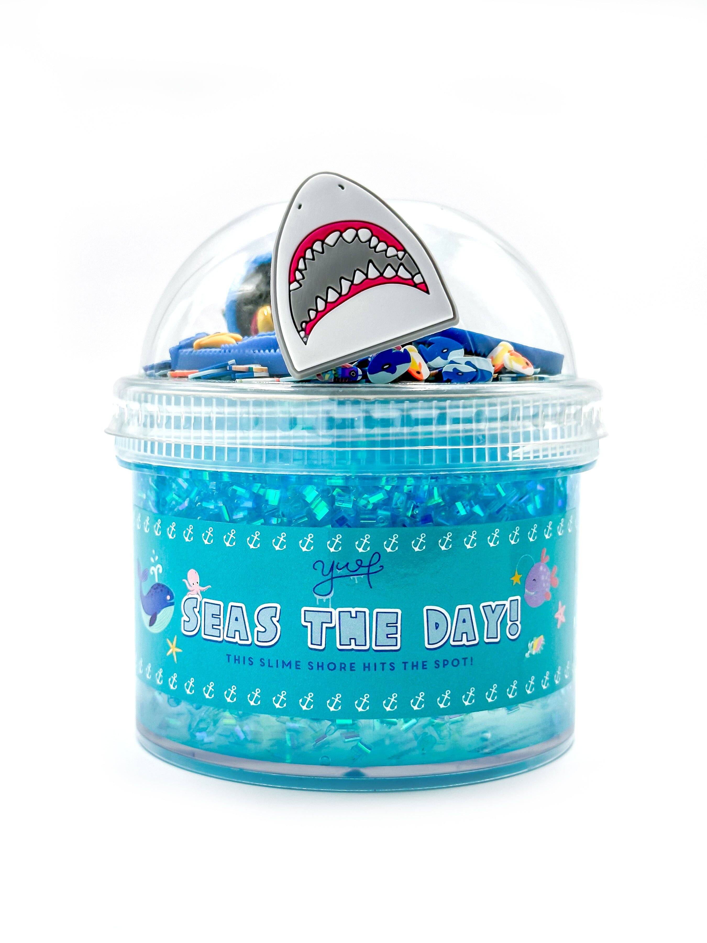 Shark Sensory Bin  Young + Wild and Friedman