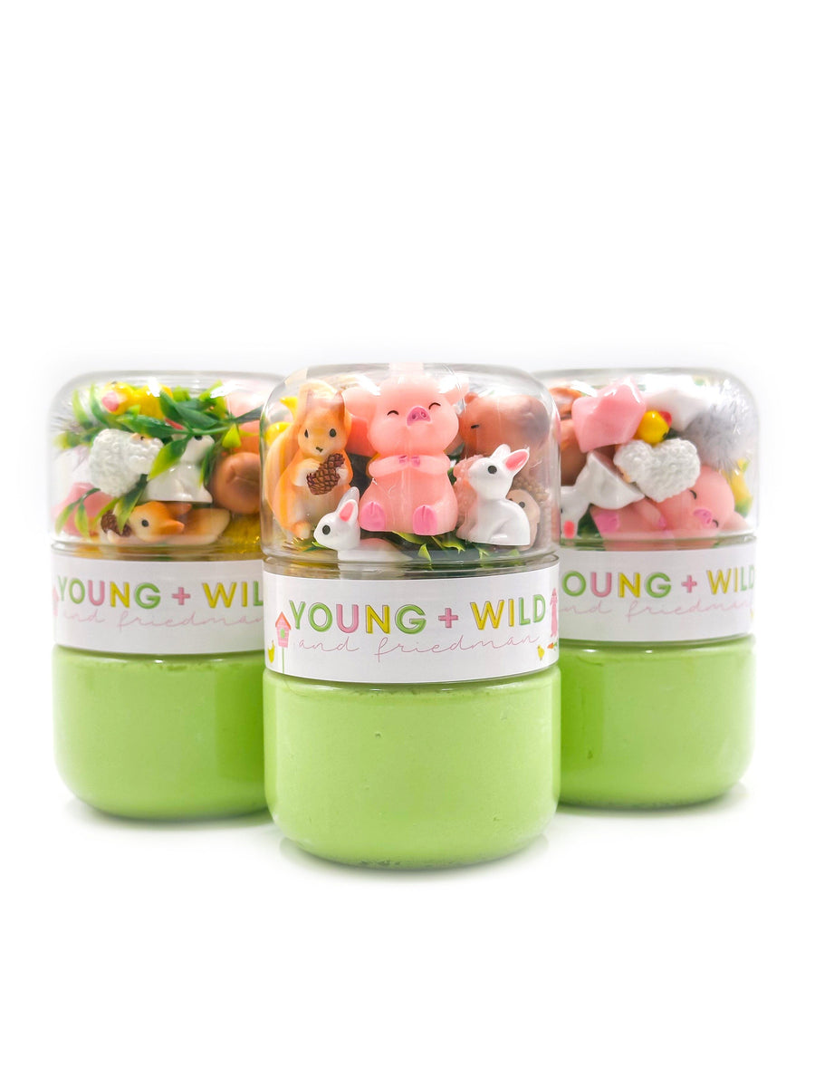 Spring Animals Grab & Go Dough Jar Grab and Go Dough Young, Wild & Friedman 