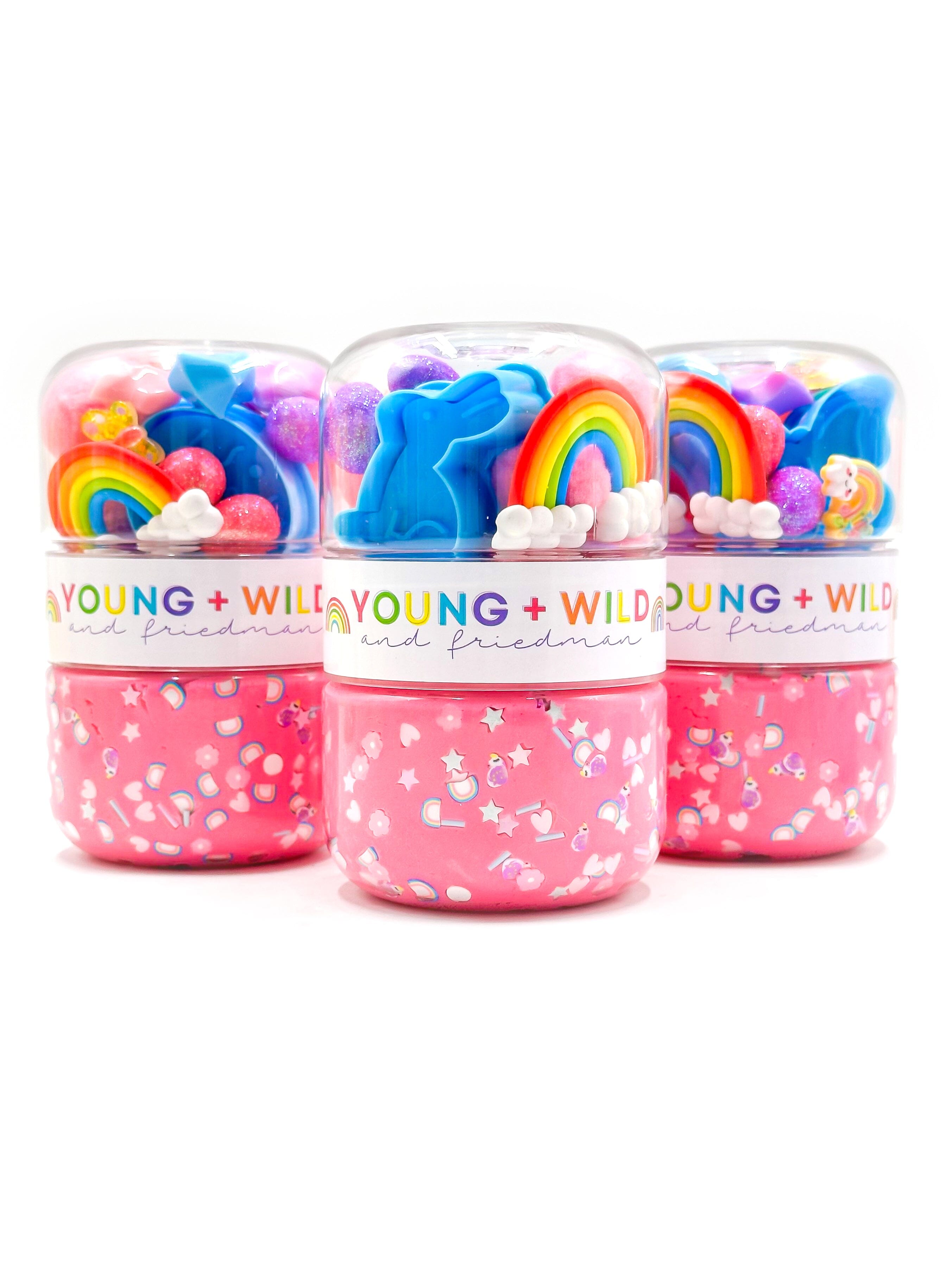 Spring Rainbow Grab & Go Dough Jar Grab and Go Dough Young, Wild & Friedman 