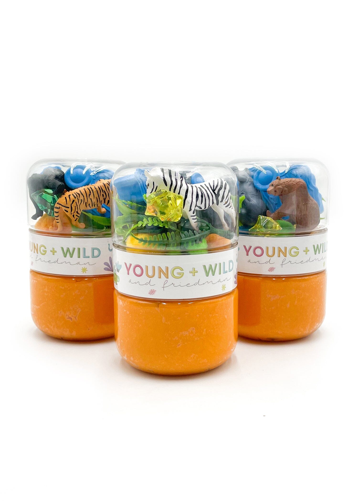 Zoo Grab & Go Dough Jar Grab and Go Dough Young, Wild & Friedman 