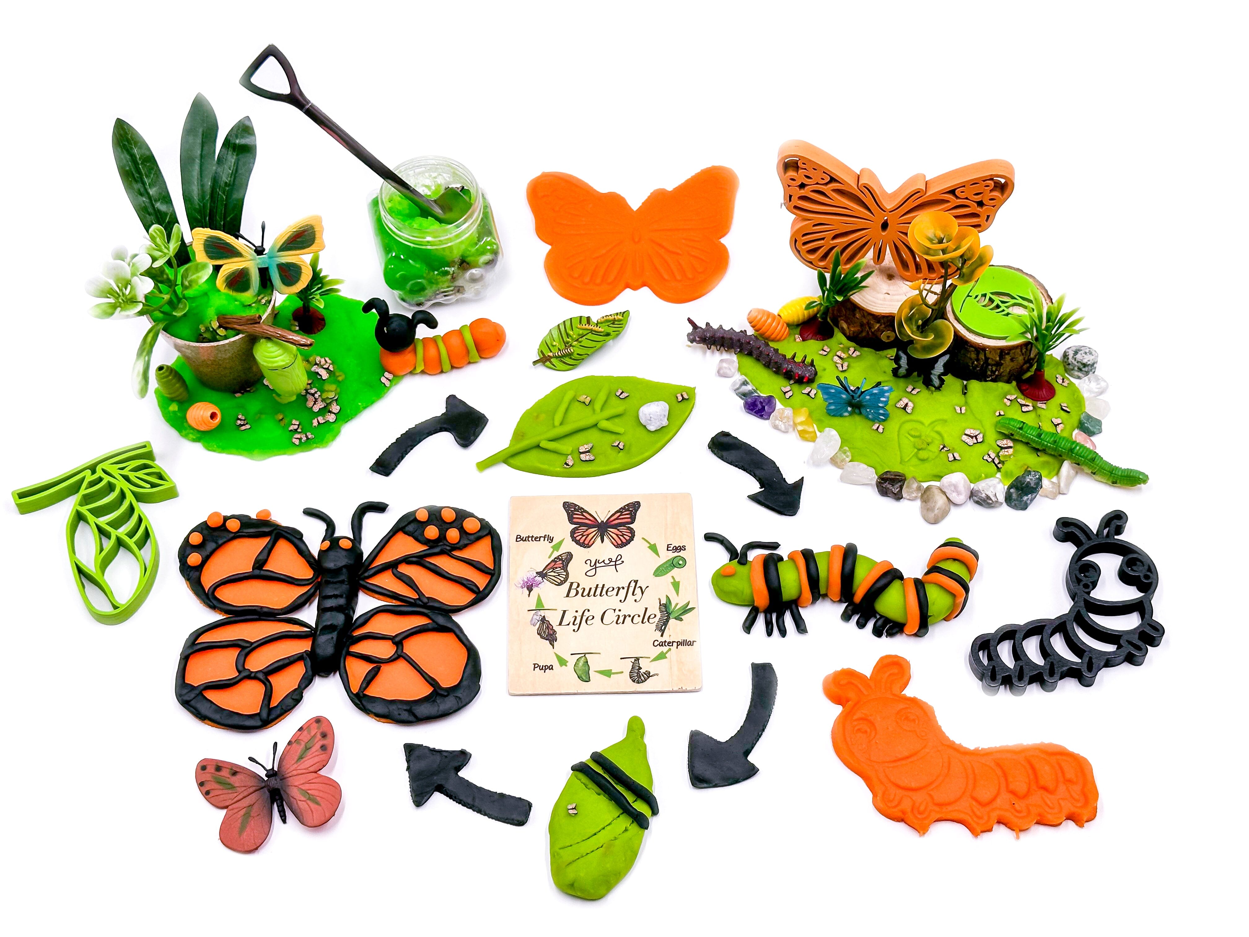 Butterfly Life Cycle Kit Sensory Kit Young, Wild & Friedman 