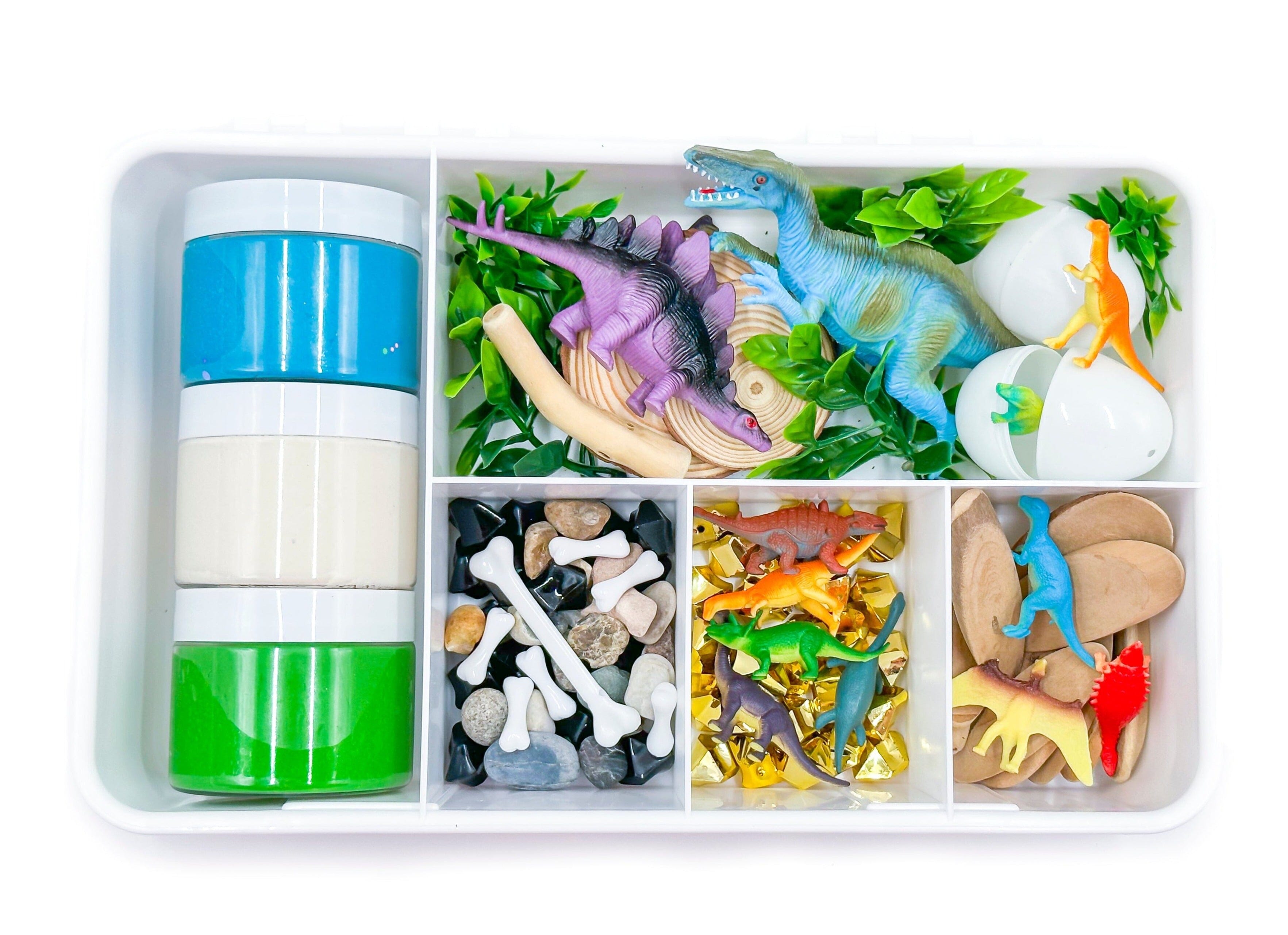 Dino Kit Sensory Kit Young, Wild & Friedman 