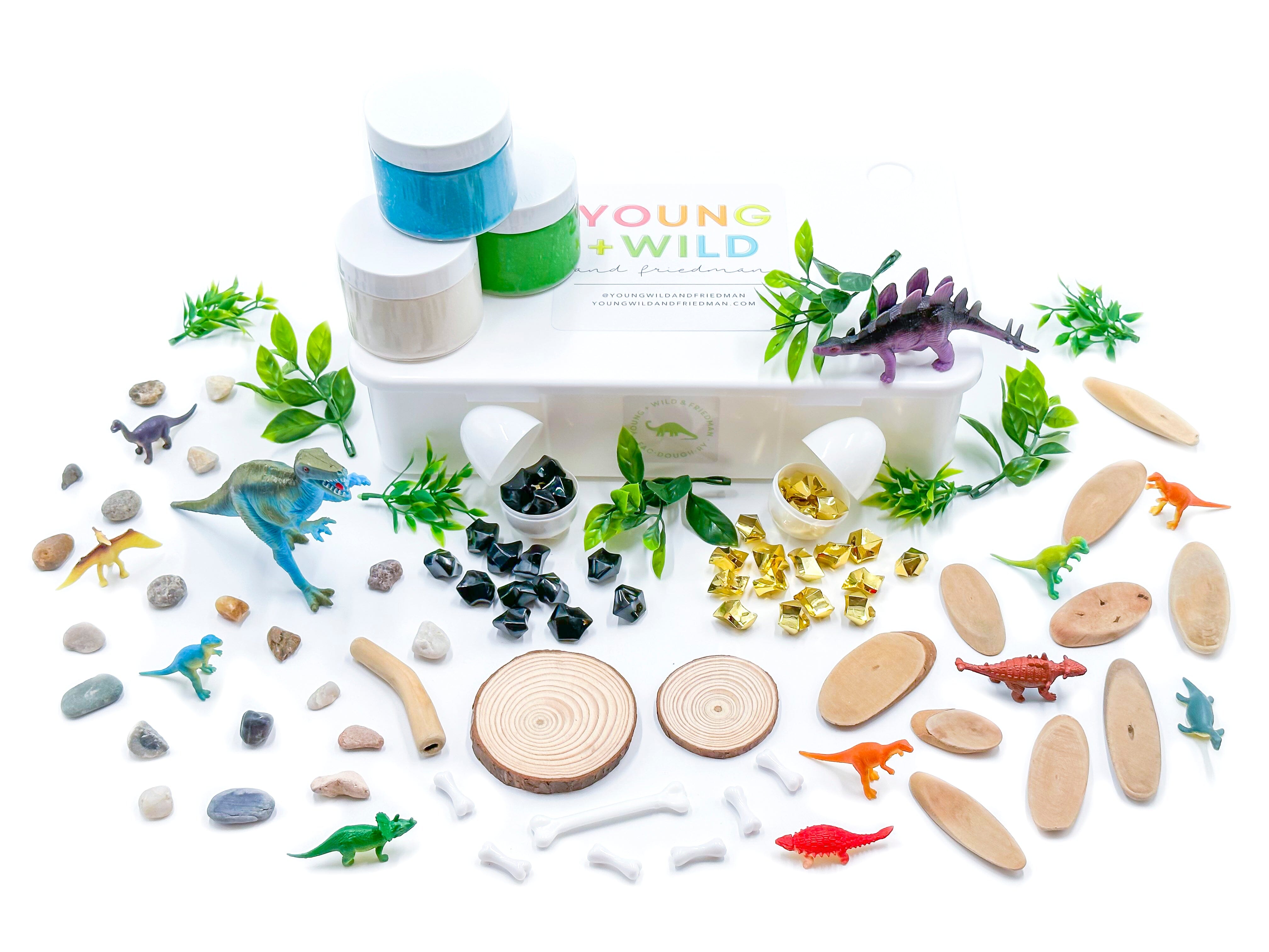 Dino Kit Sensory Kit Young, Wild & Friedman 