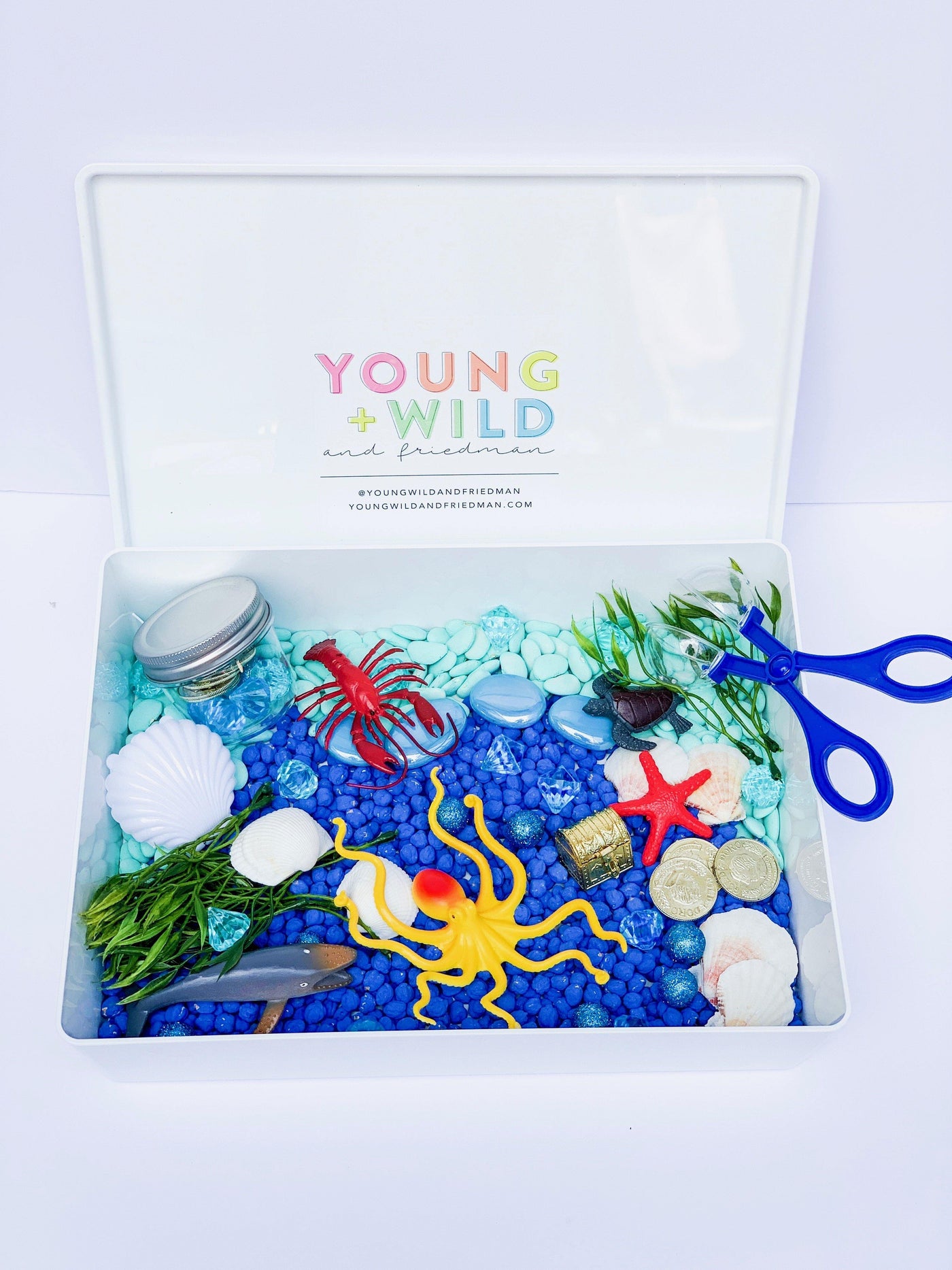 Ocean Sensory Bin Sensory Bin Young, Wild & Friedman 