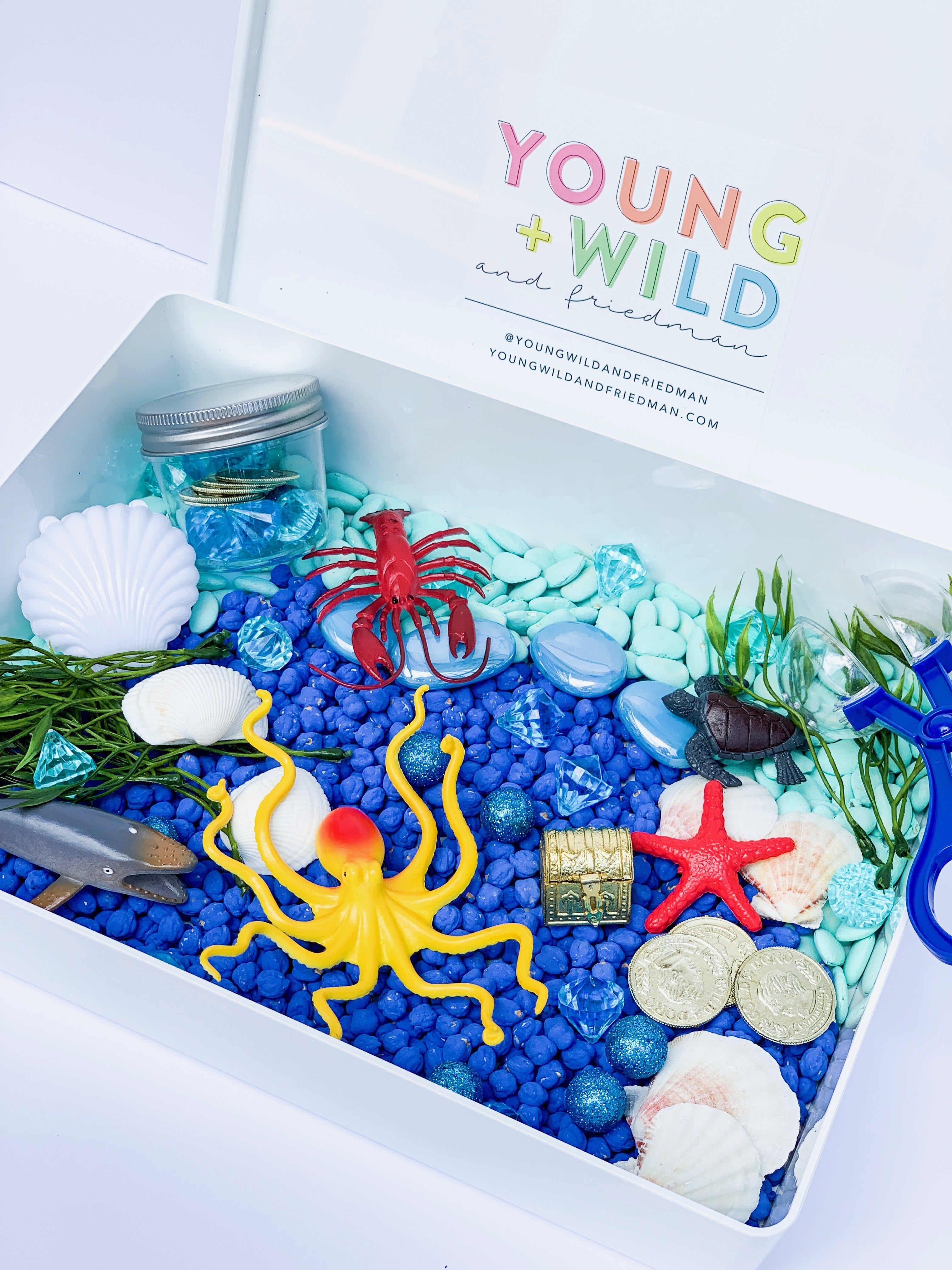 Ocean Sensory Bin Sensory Bin Young, Wild & Friedman 