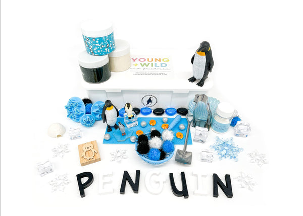 Penguin Snow Sensory Play Kit — Redviolet Studio