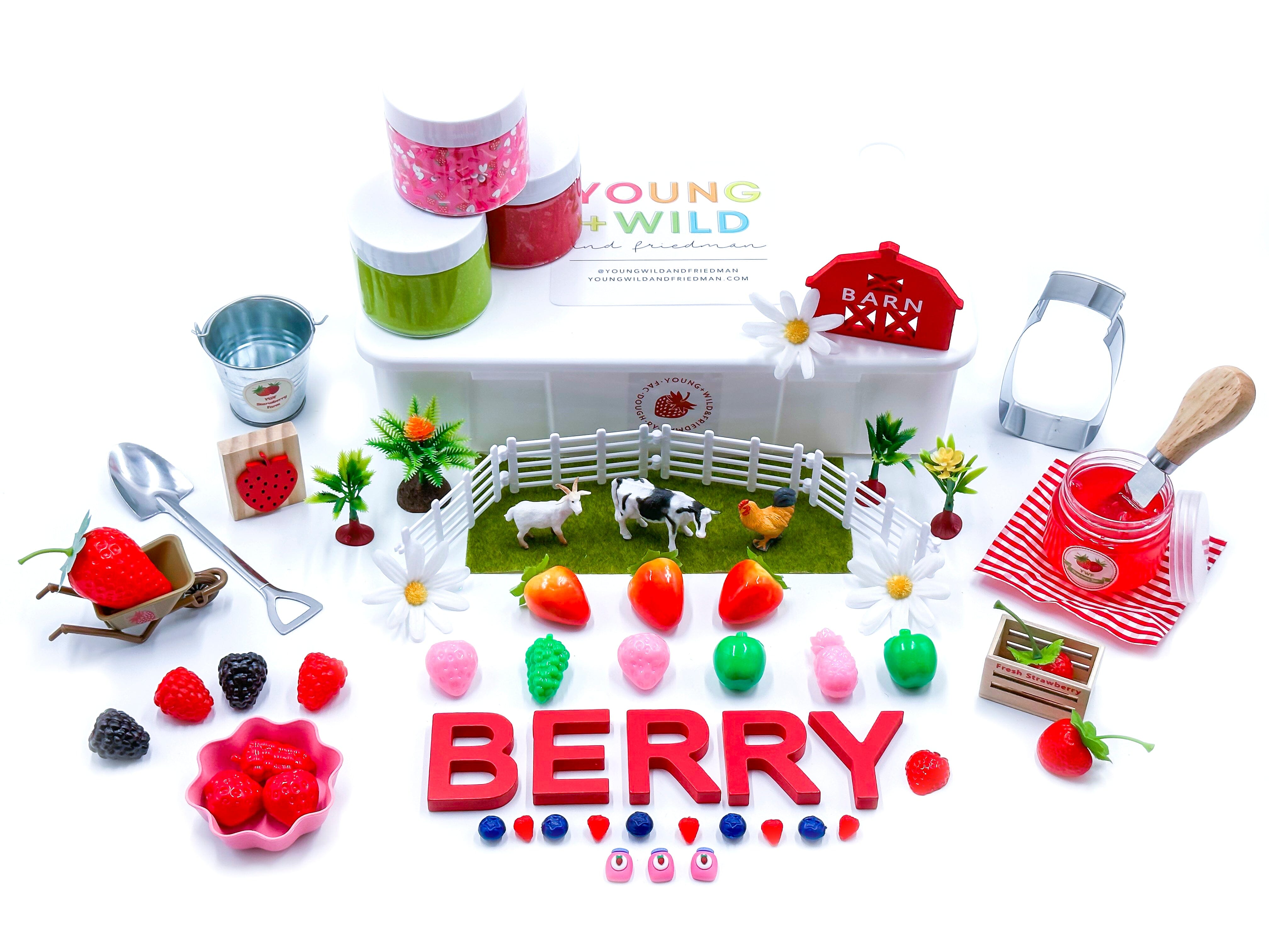 Strawberry Picking Kit Sensory Kit Young, Wild & Friedman 