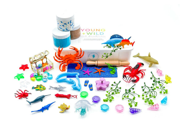 Under the Sea Kit Sensory Kit Young, Wild & Friedman 